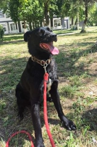 Hübscher Fabian sucht Zuhause