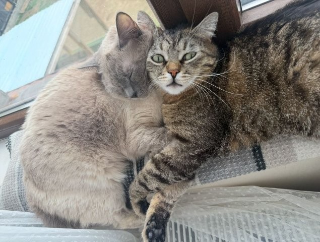 Masha & Momo – ein entzückendes Geschwisterpaar 