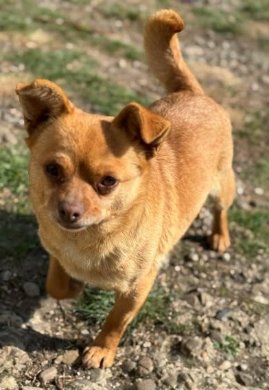 Sweet Oldy Goldy – eine süße Herzensbrecherin