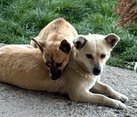 Lou & Leni – ein unzertrennliches Paar
